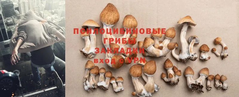 Галлюциногенные грибы Psilocybine cubensis  где купить наркоту  Усолье-Сибирское 